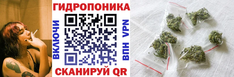 Купить закладки  Лиски  Каннабис сатива 